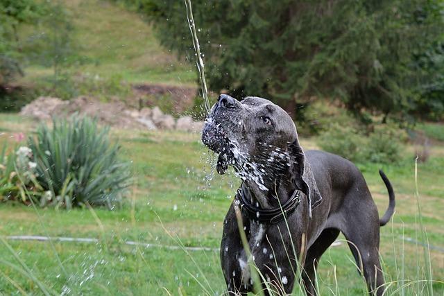 Praktické rady ohledně pitného režimu a hydratace