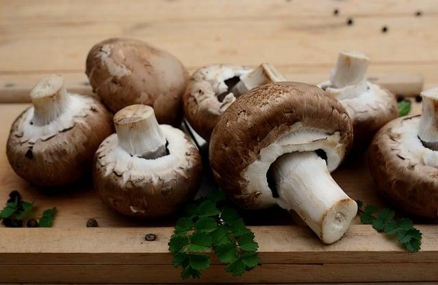 Proč je důležité mít různorodé vegetariánské a veganské možnosti na svatebním menu